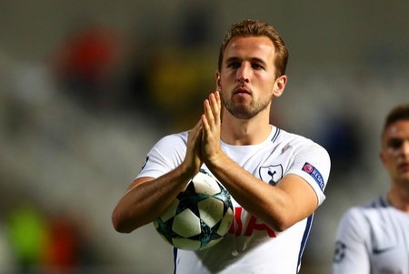 透露出鹈鹕 透露出鹈鹕