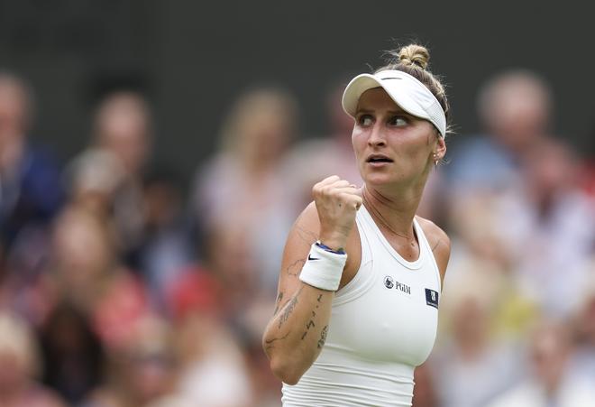 雷迪克公布 雷迪克公布